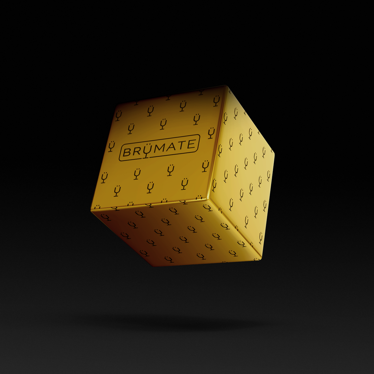 premium-mystery-item-39-70-value-p8 IMG-1548.png